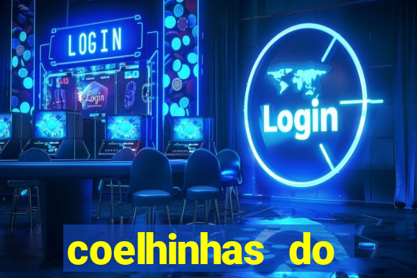 coelhinhas do brasil recife